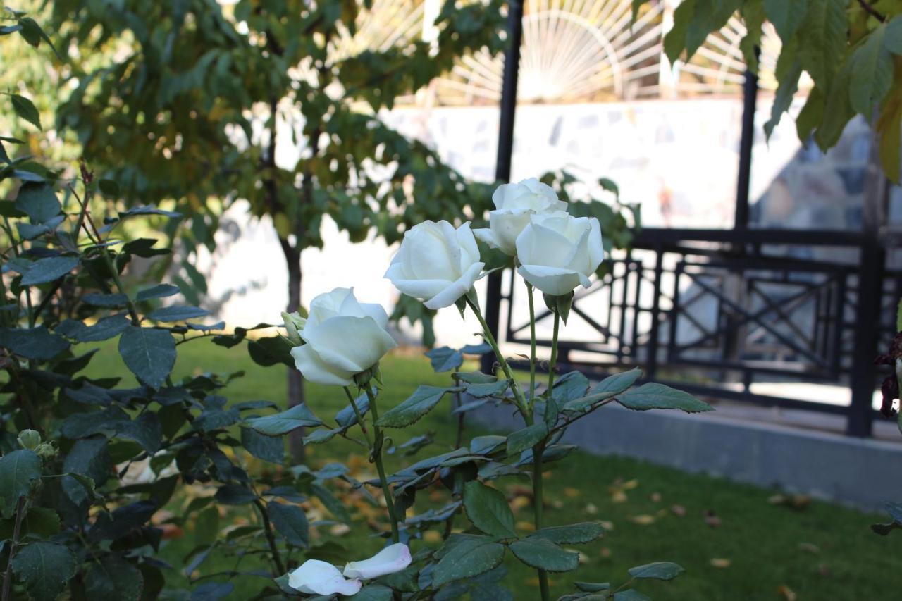 Yeghegnadzor Cherry Garden Boutique Hotel מראה חיצוני תמונה